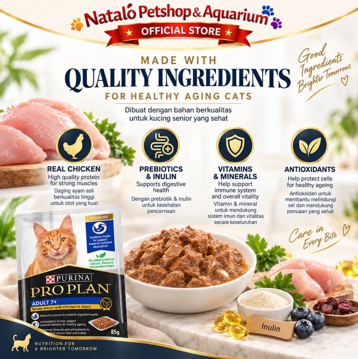 PRO PLAN Adult 7+ Chicken in Gravy Pouch 85GR Wet Cat Food - Makanan Basah Saset Kucing Dewasa Senior rasa Ayam 85 GR - gambar 4