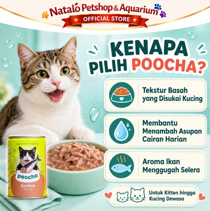 POOCHA Kaleng 400GR per 1 DUS ISI 24 PCS - Makanan Basah Kucing / Canned Wet Cat Food 400 GR All Life Stages Segala Semua Usia Umur - gambar 4