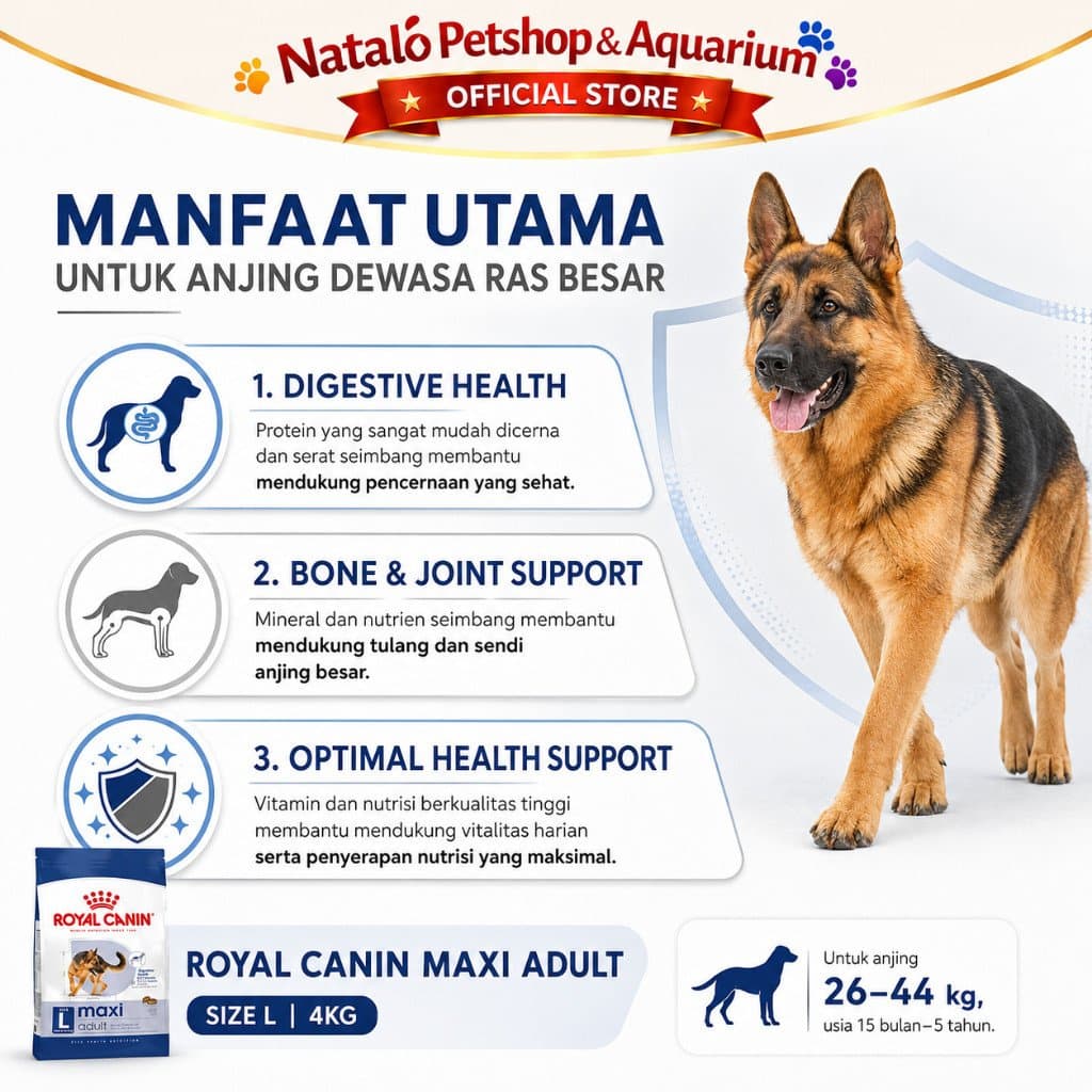 Royal Canin Maxi Adult 10KG Large Breed Dry Dog Food - Makanan Anjing Ras Besar Dewasa 10 KG - gambar 2