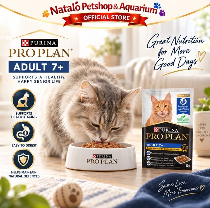 PRO PLAN Adult 7+ Chicken in Gravy Pouch 85GR Wet Cat Food - Makanan Basah Saset Kucing Dewasa Senior rasa Ayam 85 GR - gambar 5