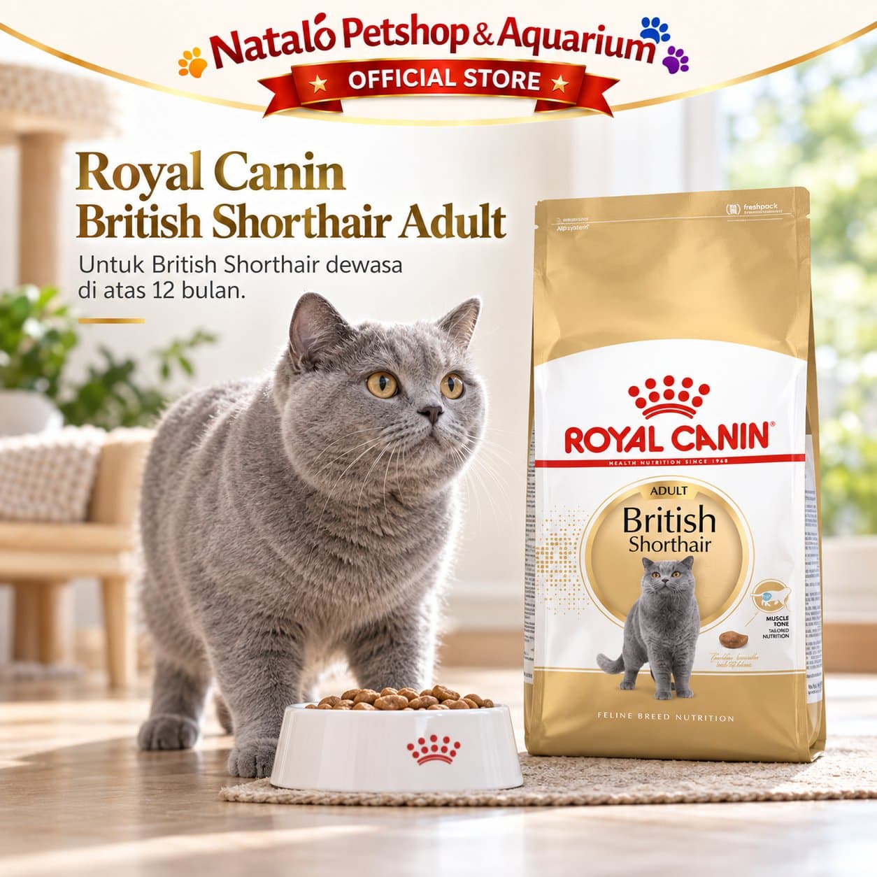 Royal Canin Adult British Shorthair 2KG Dry Cat Food - Makanan Kucing Dewasa Ras Britis 2 KG - gambar 5