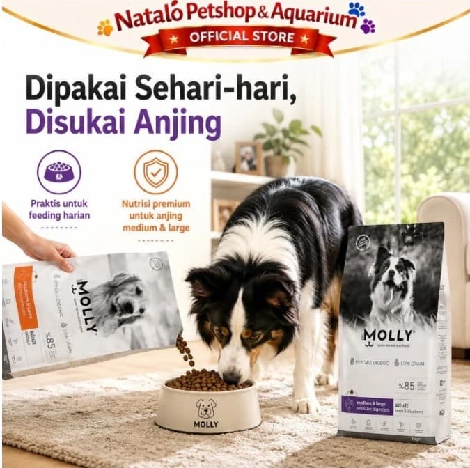 Molly Dog Food 15KG Super Premium Medium Large Adult Derma Care Hair Skin / Sensitive Digestion - gambar 5