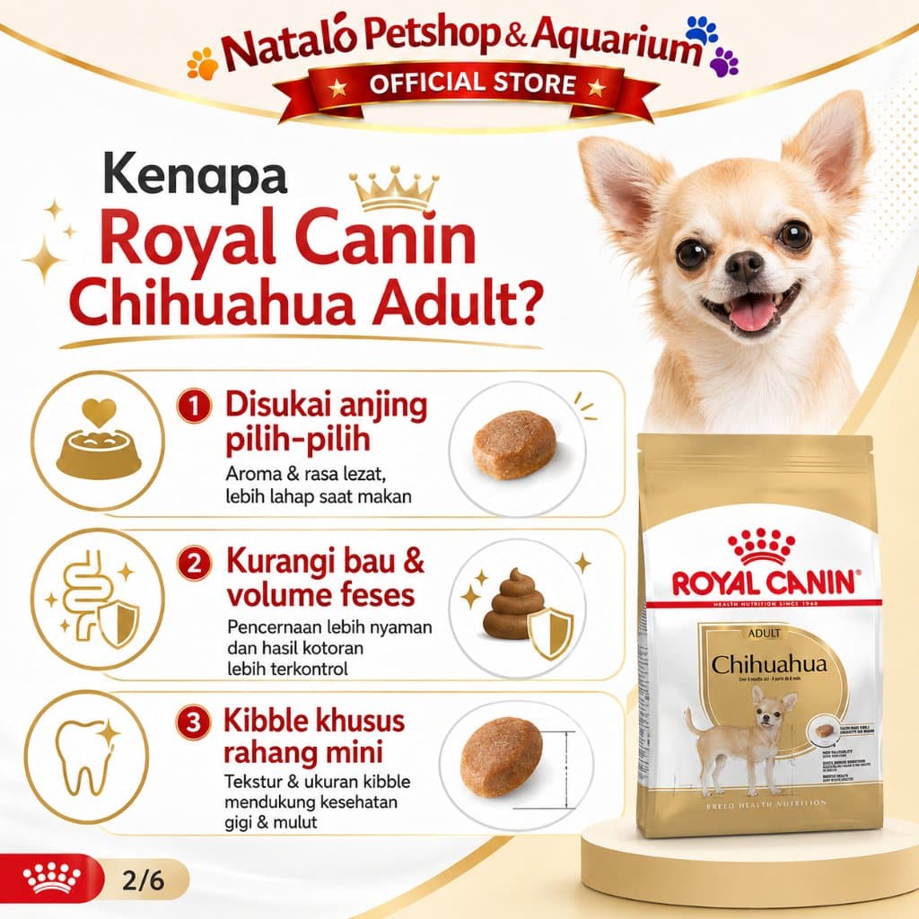 Royal Canin Chihuahua Adult 3KG / Chi hua hua Dog Food / Makanan Anjing Ras Kecil Premium - gambar 2