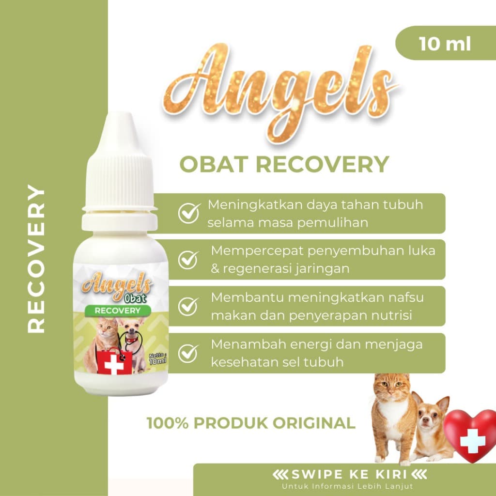 Angels Obat Recovery 10ml - Obat / Vitamin Daya Tahan Tubuh Hewan Kucing Anjing Sembuh Sakit / Tambah Energi - gambar 1