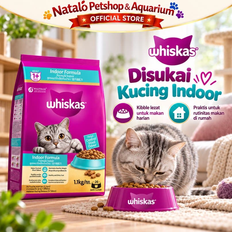 Whiskas Indoor 1.1kg Makanan Kucing Kering Adult 1+ Tahun Dry Cat Food Indoor - gambar 5