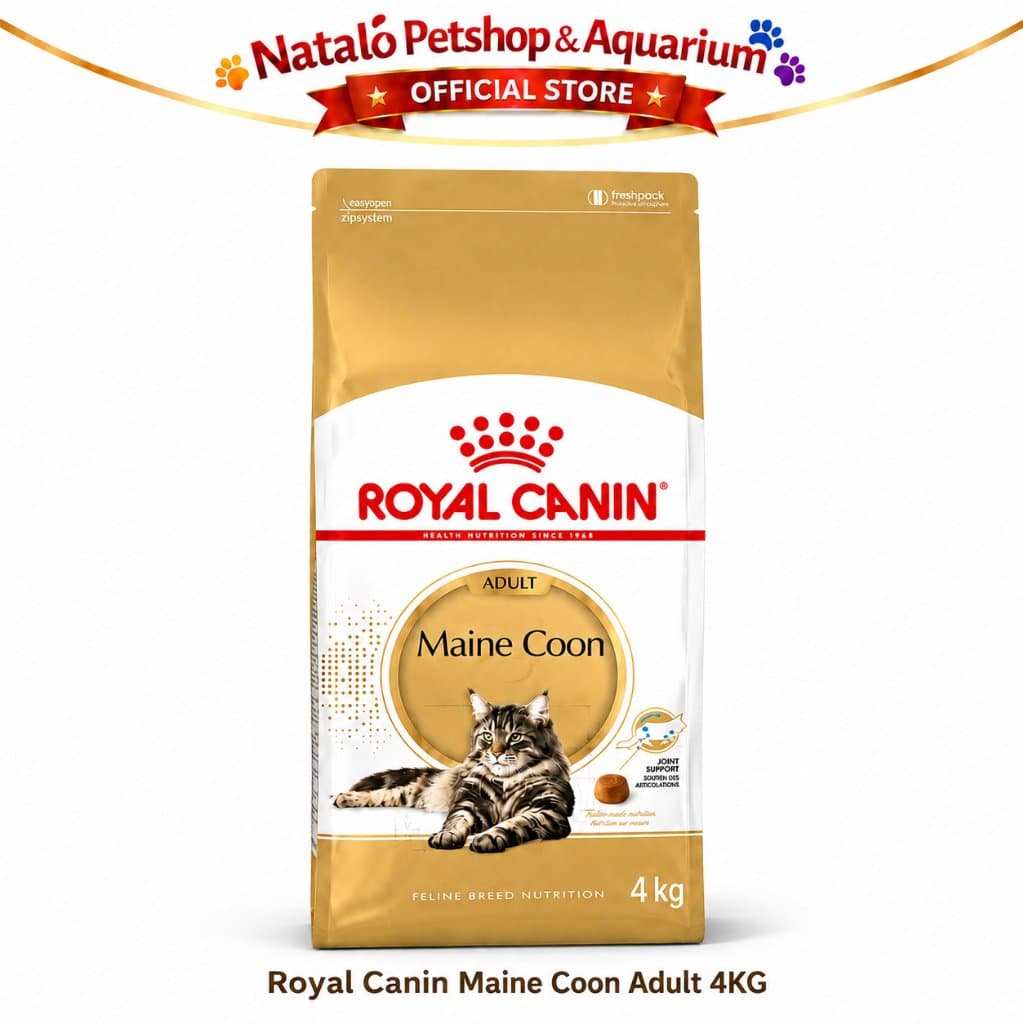Royal Canin Maine Coon Adult 4KG - Makanan Kucing Dewasa Ras Mainecoon Freshpack 4 KG - gambar 6