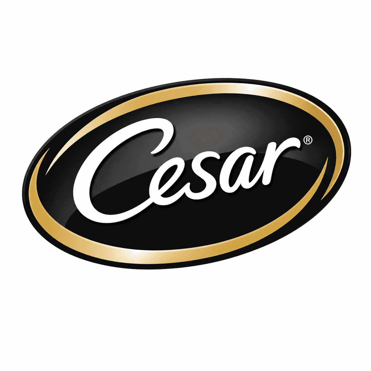 Logo Cesar
