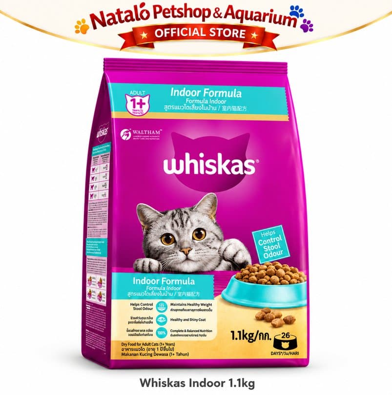 Whiskas Indoor 1.1kg Makanan Kucing Kering Adult 1+ Tahun Dry Cat Food Indoor - gambar 2