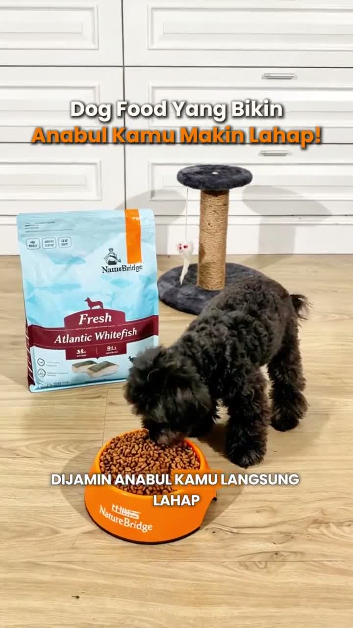 Nature Bridge Fresh Atlantic Whitefish with Freeze Dried 1KG All Life Stages Dog Food - Makanan Anjing Semua Umur Super Premium 1 KG - video produk