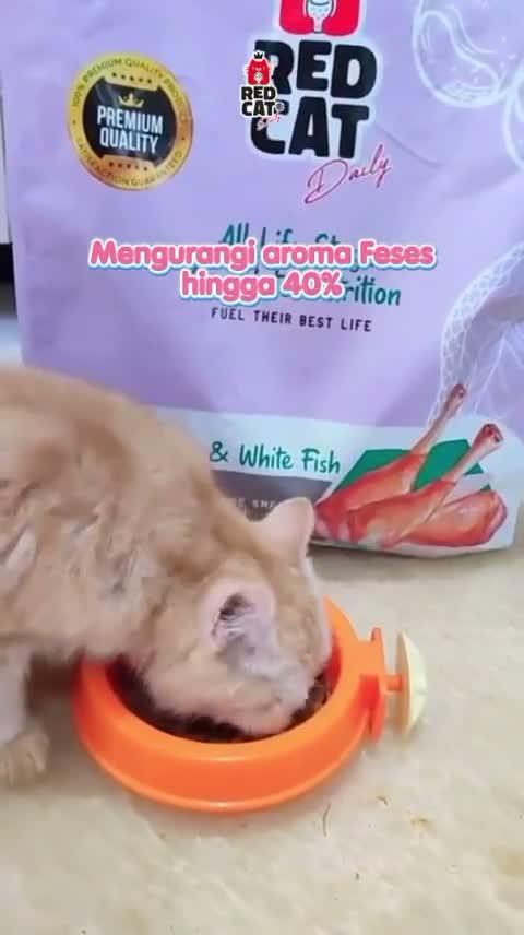 Red Cat Complete Nutrition 7KG All Life Stages Dry Cat Food Chicken & White Fish - Makanan Kucing Semua Tahap Usia / Umur 7 KG  - Premium Quality - video produk