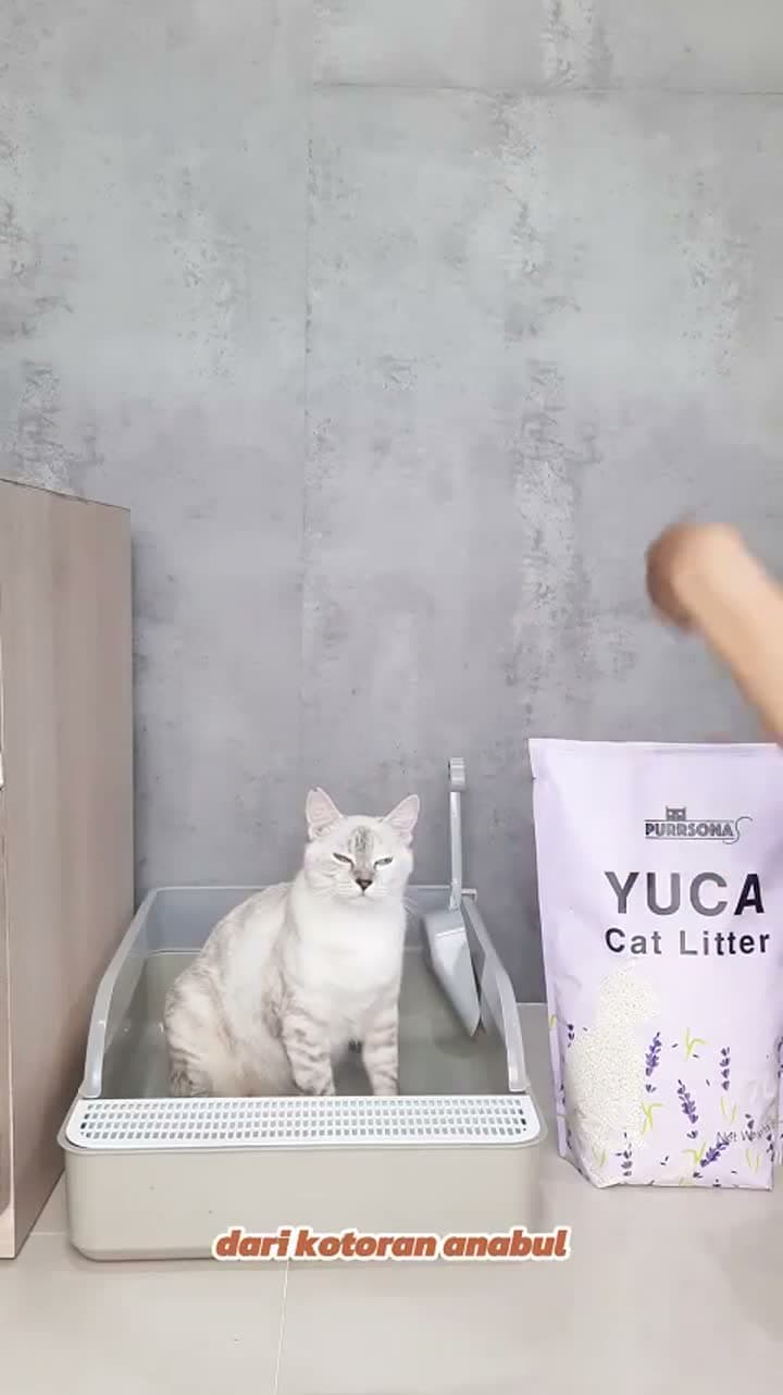 YUCA Cassava Cat Litter 7L Pasir Kucing Singkong Gumpal Cepat Menggumpal Pengurang Bau Pasir Kucing 7 Liter by Purrsona - video produk