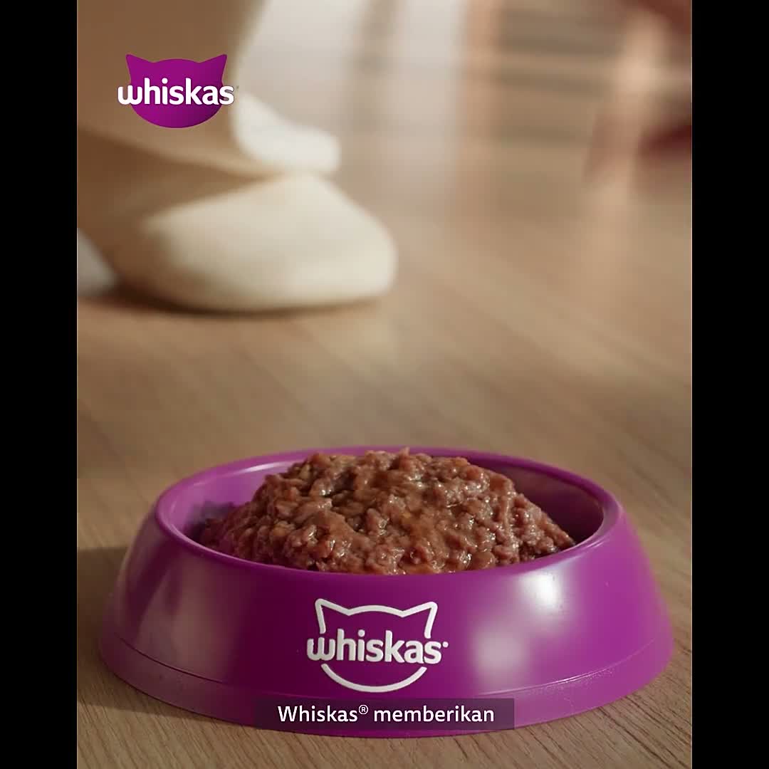 Whiskas Pouch Value Pack / Paket Hemat ( isi 6 Saset/Sachet ) 80GR - Makanan Basah Kucing Wet Cat Food - video produk