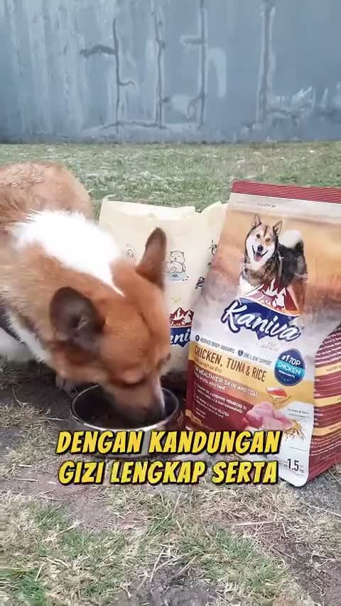 Kaniva Dog Lamb Tuna & Rice 12KG Dry Food - Skin Coat All Life Stages - Premium Makanan Anjing Kering rasa Domba Segala Usia - video produk