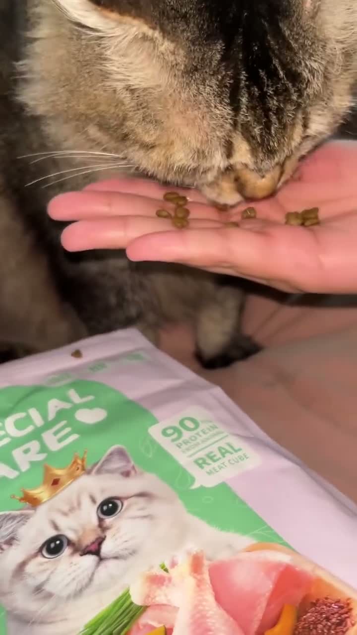 Kitchen Flavor Special Care Digestive Care 1.5KG All Life Stages - Makanan Kucing Semua Umur untuk Pencernaan 1.5 KG - video produk