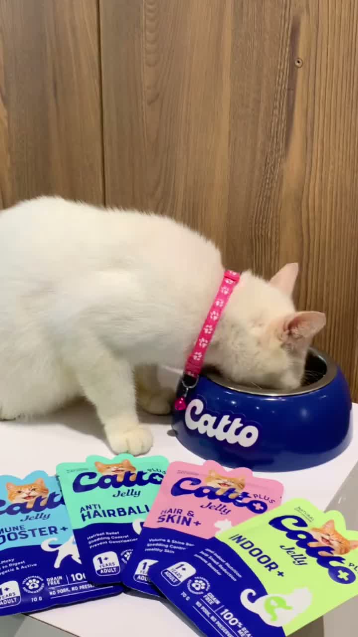 Catto Plus Jelly Anti Hairball / Hair & Skin / Indoor / Immune Booster / Urinary Adult Pouch Wet Food 70GR - Makanan Basah Saset Kucing Dewasa 70 GR - video produk