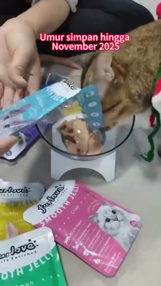 Furlove Pouch Wet Cat Food All Life Stages 80GR - Makanan Basah Sachet Kucing Semua Tahap Usia / Umur Murah 80 GR - video produk