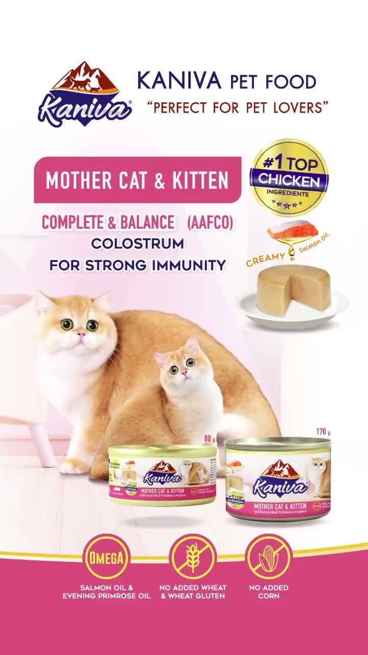 Kaniva Mother Cat & Kitten Wet Food 80GR - Soft Formula Mousse Makanan Basah Kaleng untuk Ibu dan Anak Kucing Halus rasa Chicken Ayam 80 GR - video produk