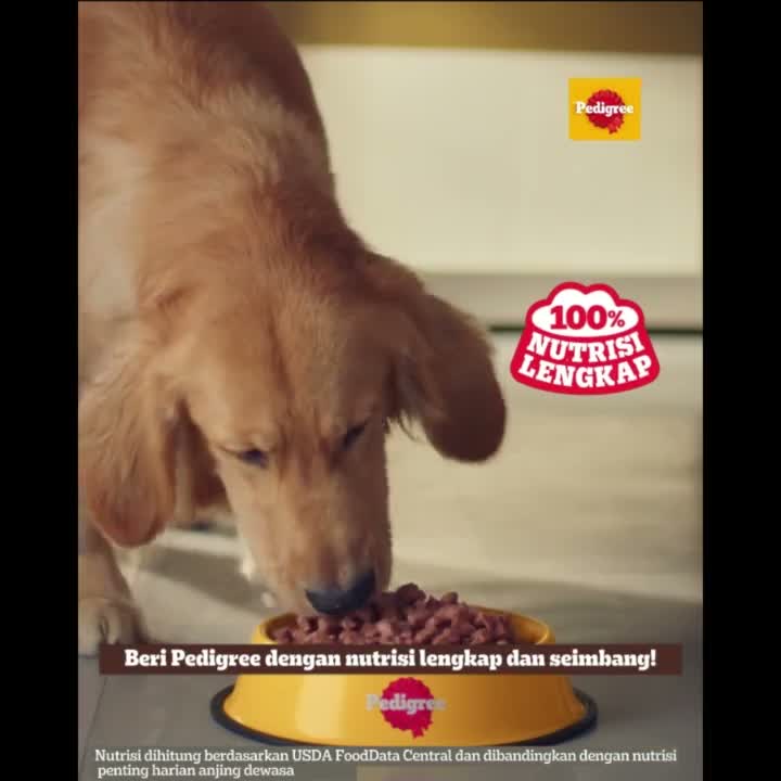 Pedigree 80GR Makanan Anjing Basah Pouch Adult & Puppy | Beef Gravy, Chicken Liver, Beef Loaf, Beef Egg | Wet Dog Food 80 GR - video produk