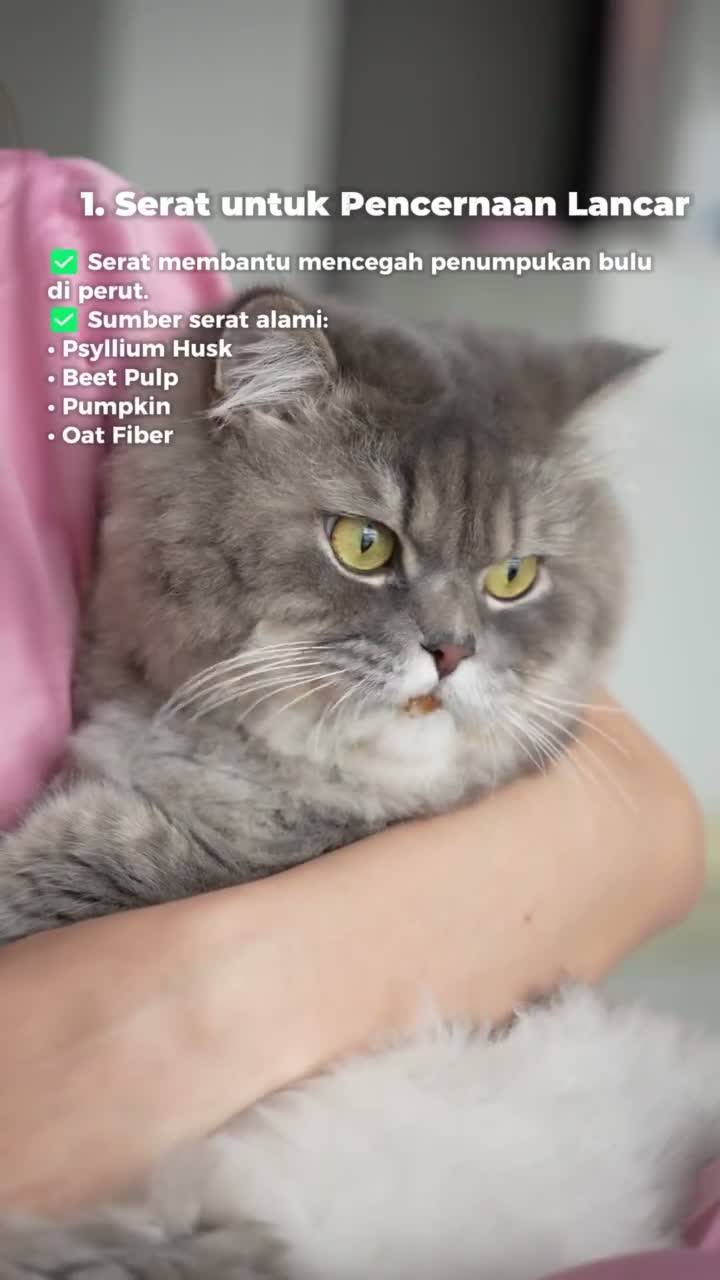 MAJES Hairball Remedy Cat Supplement - Vitamin Hairball Usus Kucing 55Gr - video produk