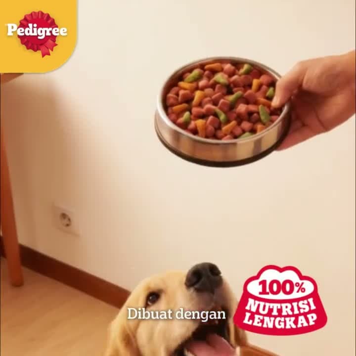 Pedigree Small Breed Adult Chicken Liver & Vegetable 1.3KG / Makanan Anjing Ras Kecil Murah Mini Dog Food 1.3 KG - video produk