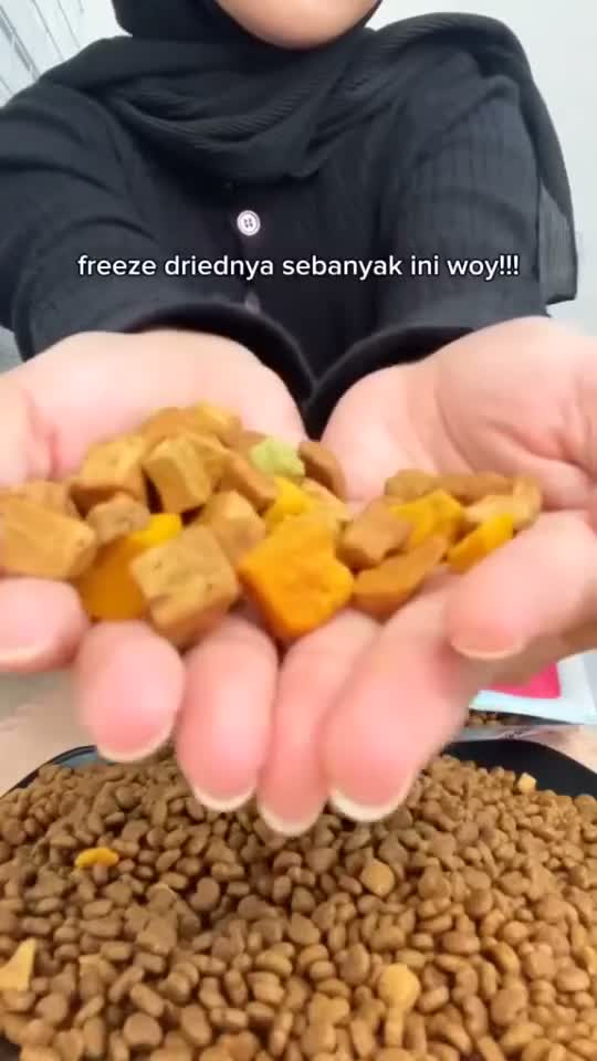 Kitchen Flavor Hi!Meat Complete Cat Food for All Life Stages 1.3KG No Pork - Makanan Kucing Semua Umur Hi Meat / Hi-Meat / Hi! Meat / Himeat 1.3 KG - video produk