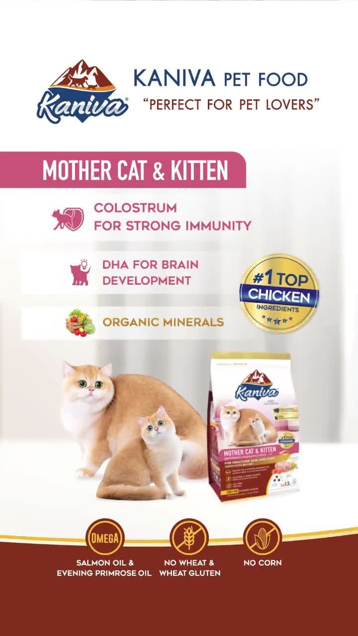 Kaniva Mother Cat & Kitten 1.3KG Dry Food - Holistic Healthy Skin and Coat - Premium Makanan Kucing Kering untuk Ibu Hamil Menyusul Anak Kucing Adult 1.3 KG - video produk