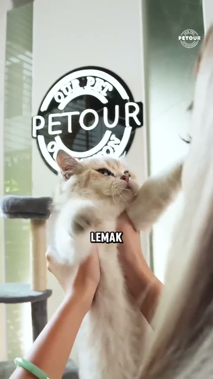 Mr. Vet T1 Digestion / T2 Hair & Skin / T3 Urinary / T4 Cat Indoor Care 1KG Functional All Life Stages Dry Cat Food - Makanan Kucing Mr.Vet Semua Tahap Usia Fungsional 1 KG - video produk