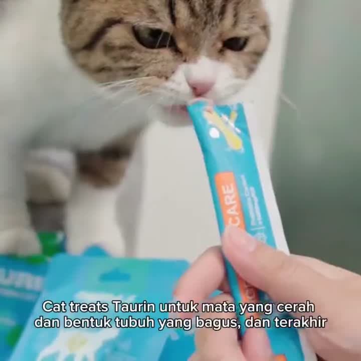 Mr. Vet Nutrition Cat Treats All Life Stages Functional Creamy Snack 60GR - Camilan Kucing Mr.Vet Semua Tahap Usia Fungsional - Omega 3, Prebiotik, dan Taurin 1pack (4x15gr) - video produk
