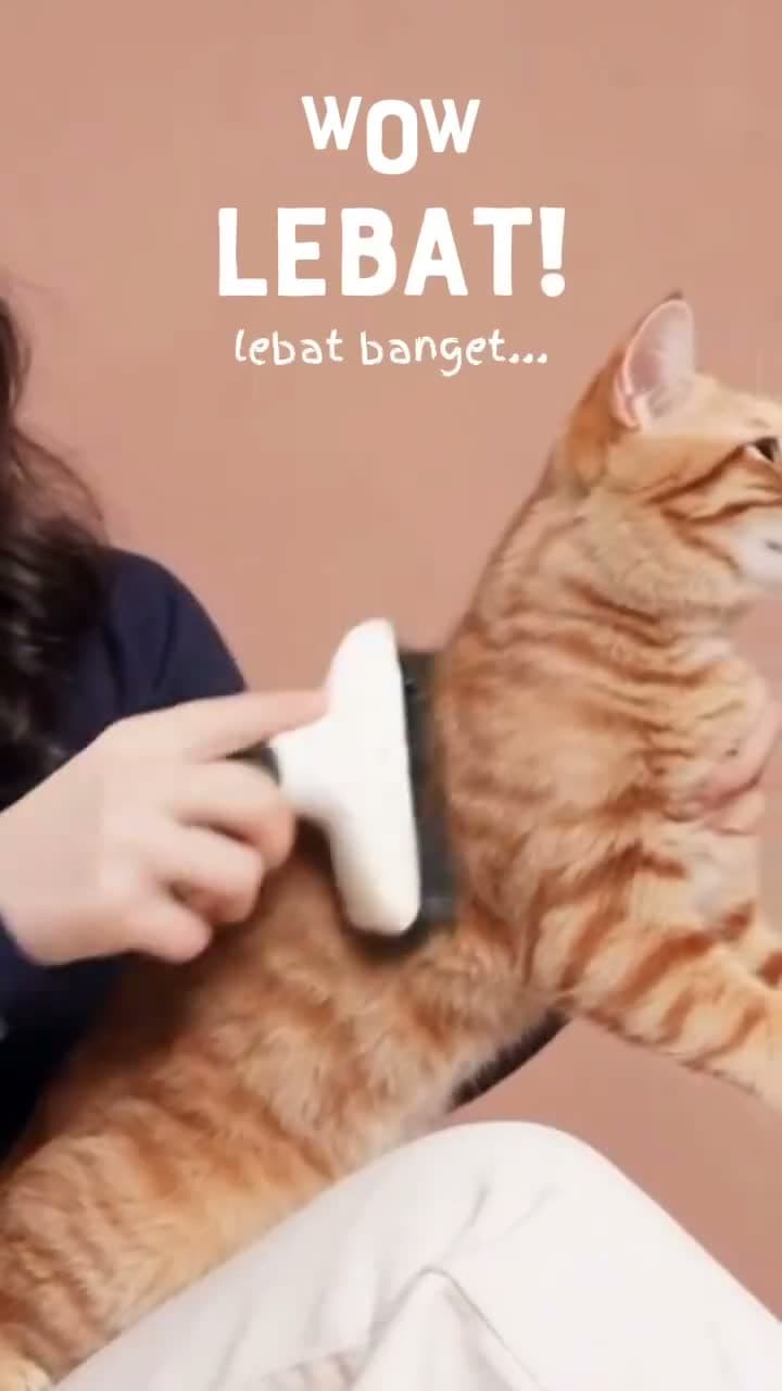 Catto High Protein Dry Adult Cat Food + Freeze Dried Meat Grain Free Formula 400GR - Makanan Kering Kucing Dewasa Premium 400GR - video produk